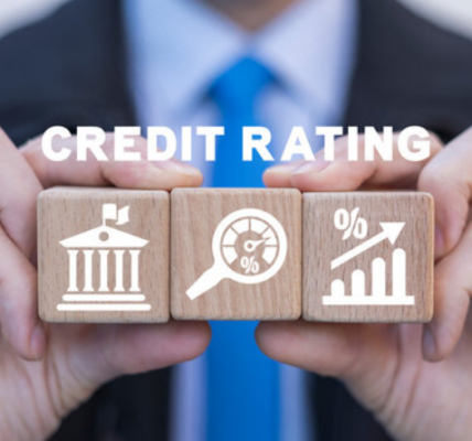 Credit Rating System